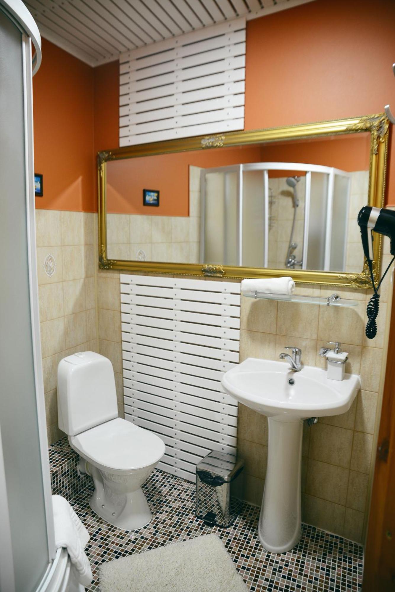 Jolanta Hotel Aluksne Room photo